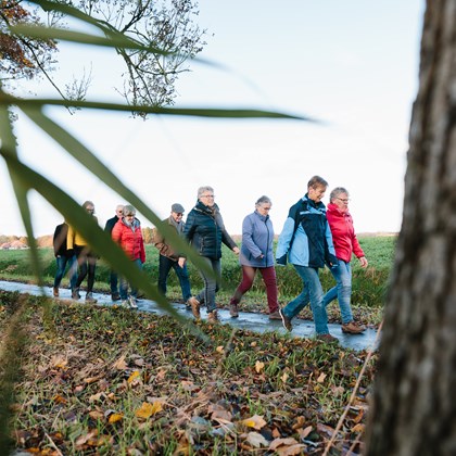 004 HVDSG   Wandelclub Slochteren 20191119 4368